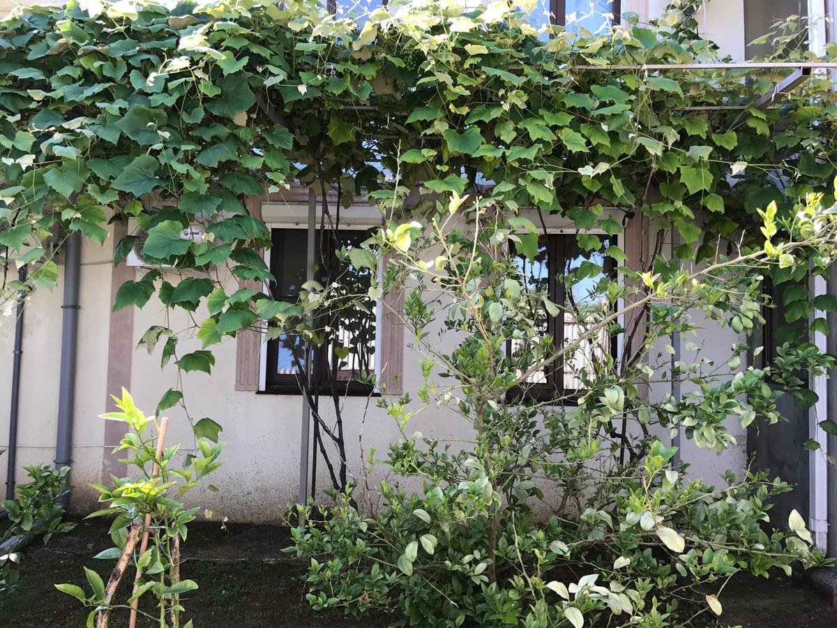 Vse Dlya Vas Guest House Gudauta Eksteriør bilde
